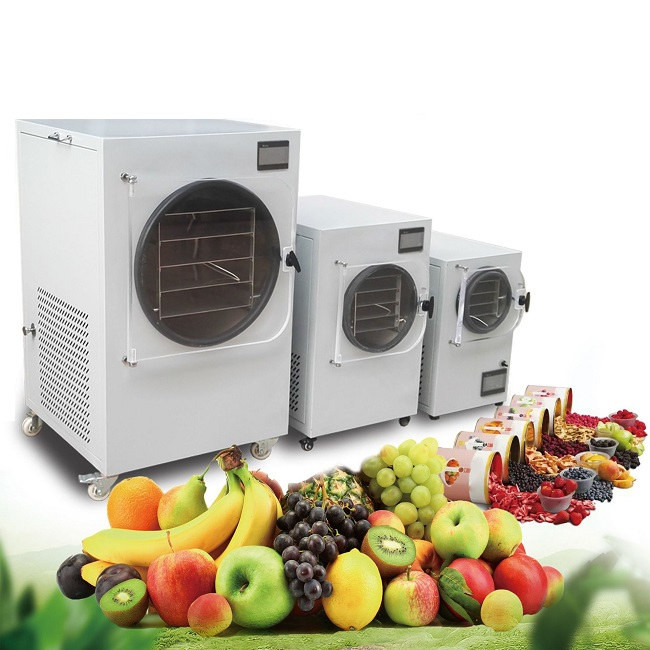 China 1500W Small Home Food Vacuum Freeze Dryer Lyophilization Machine 0.1m2 acreage on sale