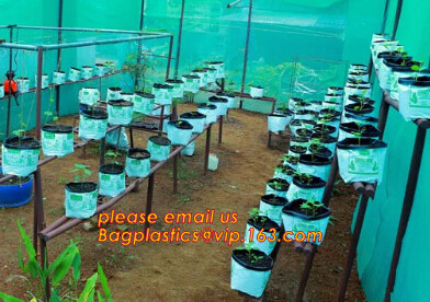  cultivating bags, 100% biodegradable various Wholesale Poly Black Square Garden Plastic Baby Flower Plant Nursery Poly B Manufactures