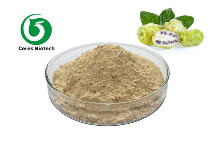 China Pale Yellow Noni Juice Powder Beverages Food Polysaccharide 9-20% Anti - Bacterial on sale