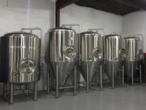  1000L Stainless Steel Fermentation Tank with Side Manway (ACE-FJG-V2) Manufactures