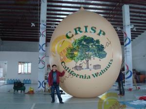  Air Brush UV Printed Wall Nut Fruit Shaped Balloons For Helium / Event Show 5m High Manufactures