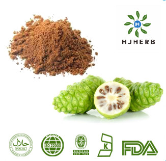 China 100% Natural Noni Juice Noni Fruit Plant Extract Powder on sale