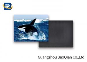  Customized Animal Personalized Fridge Magnets 3D Pictures PET Lenticular Thickness 0.6mm Manufactures