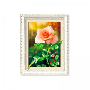  Flowers And Plants 5D Images Lenticular Art Prints For Restaurant Decor Manufactures