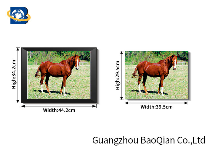  0.6 MM Custom Size 3D Horse Pictures For Adverting / Decoration Three Filps Manufactures
