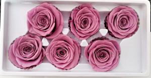  Colorfull Rose/Preserved Rose/Preserved Flower/Fresh Flower Manufactures