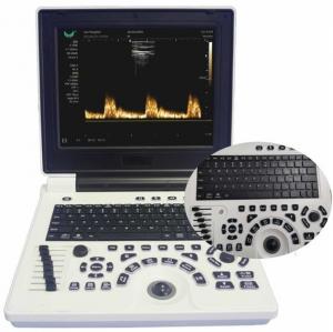 China 12in LCD Display Veterinary Ultrasound Equipment For Large Animals FDA ISO on sale