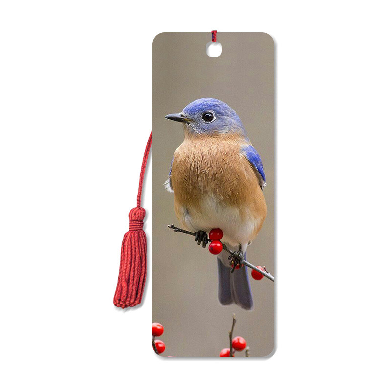 Bird Design 3D Animal Bookmarks With Two Side CMYK Printing / Personalised Bookmarks For Schools Manufactures