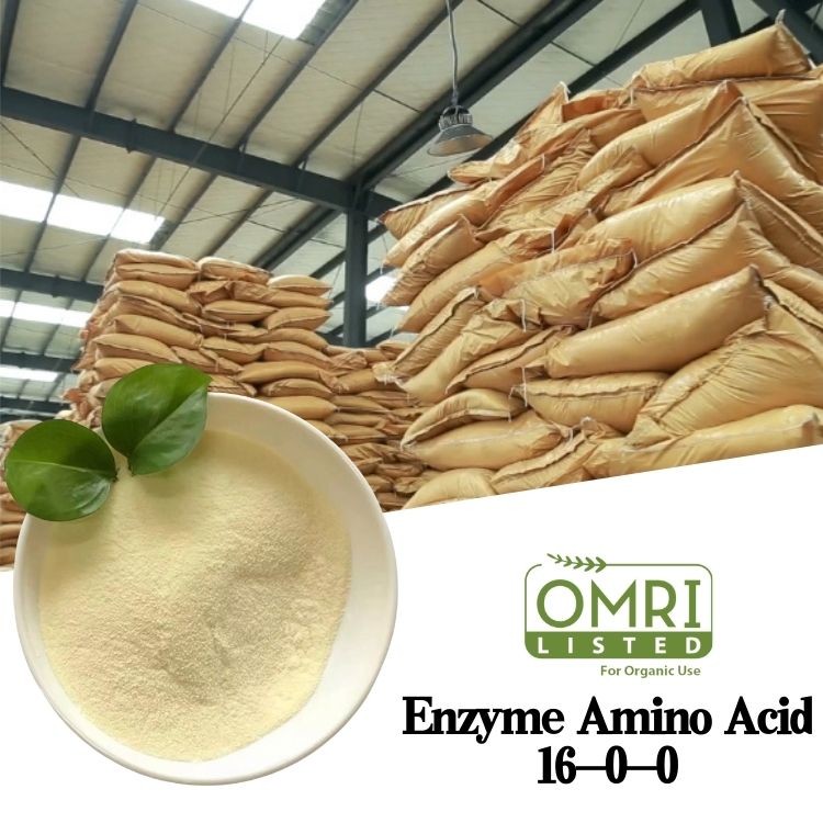  Agricultural Fertilizers Amino Acid Powder 40% 60% 70% 80% Manufactures