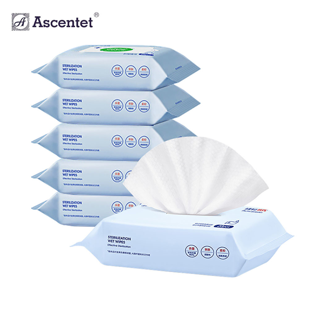  Disinfectant Wipes Lab Cleaning Antibacterial Sanitizing Wipes With Alcohol Manufactures