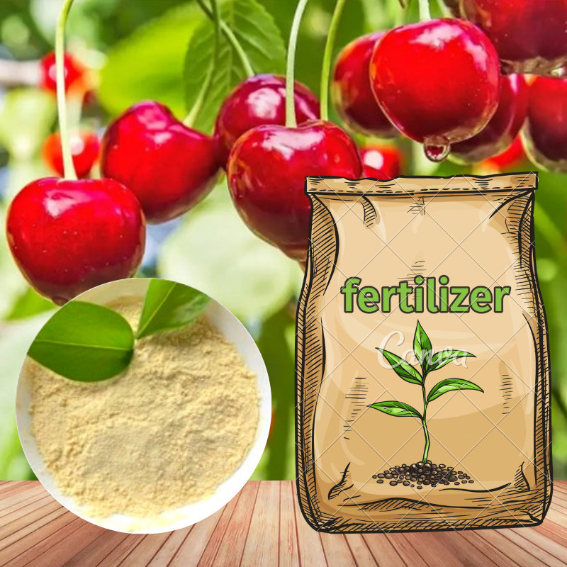  Water Solubility Aminal Amino Acid Chelate Boron Organic Fertilizer For Field Crops Manufactures