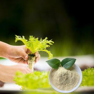  Fe Zn B Cu Mn Organic Amino Acid Chelate Fertilizer 25%Min Manufactures