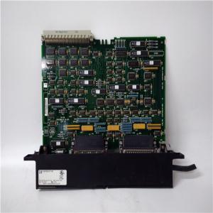  GE IC687BEM713B Digital Input Module Manufactures