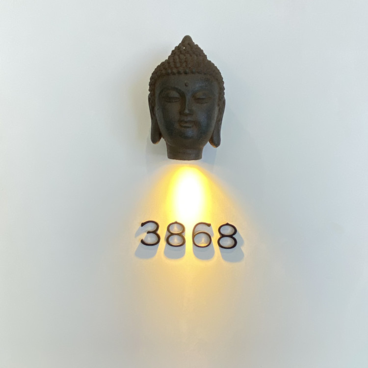  Illuminated Stainless Steel 304 Metal Address Signs Screw Mount Manufactures