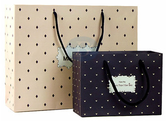  New products 2016  cosmetic boutique paper shopping bag Manufactures