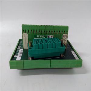  9753-110| Invensys Triconex | Voltage Input Term Panels Manufactures