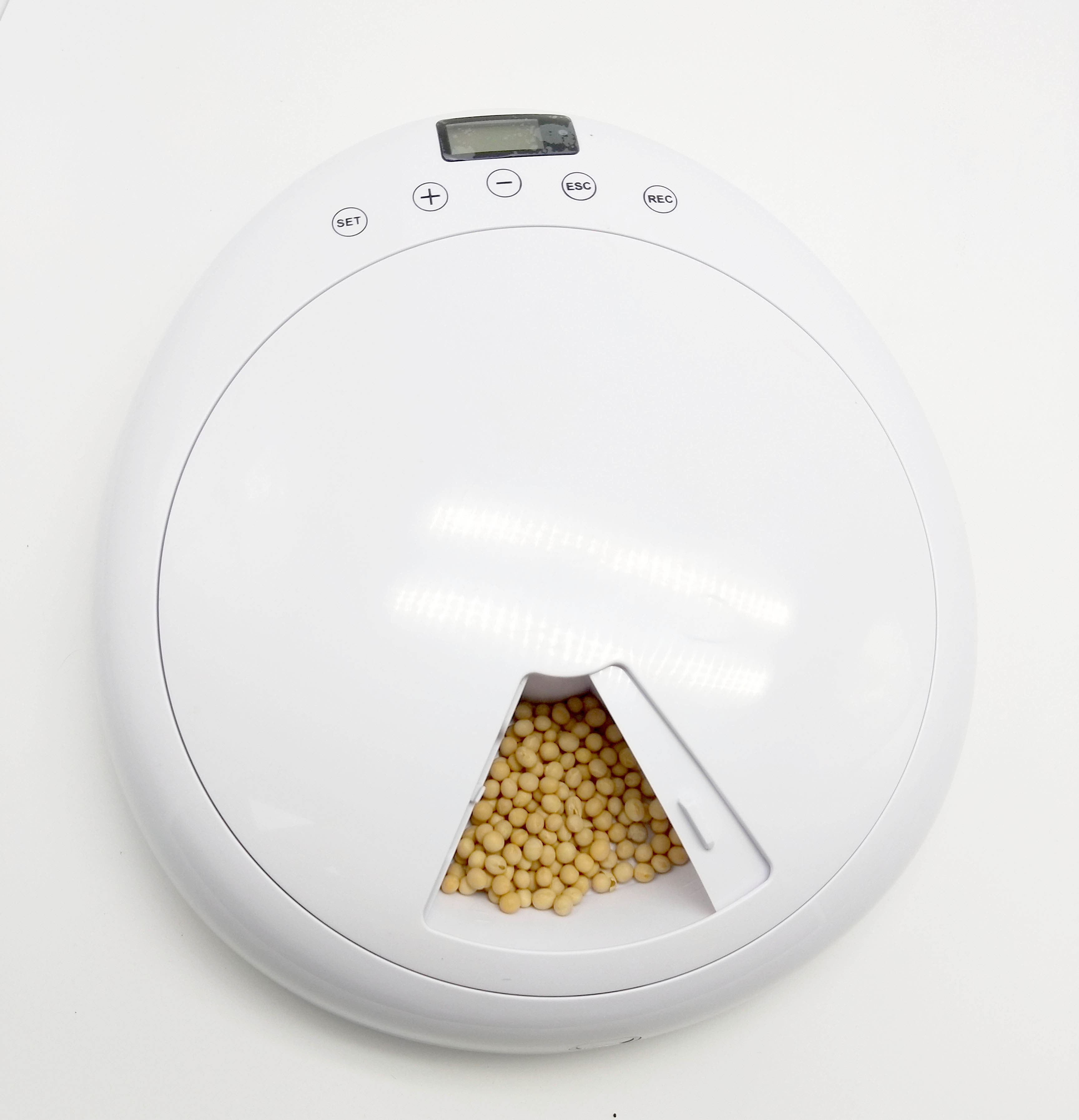 China Timer Electric Dry Food Dispenser Automatic Pet Feeder on sale
