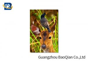  Animal Lenticular Greeting Cards , Deer 3D Greeting Cards For Christmas / New Year Manufactures