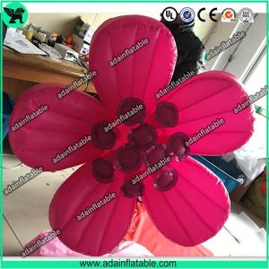  Inflatable Wintersweet , Holiday Event Hanging Decoration,Festival Party Decoration Manufactures