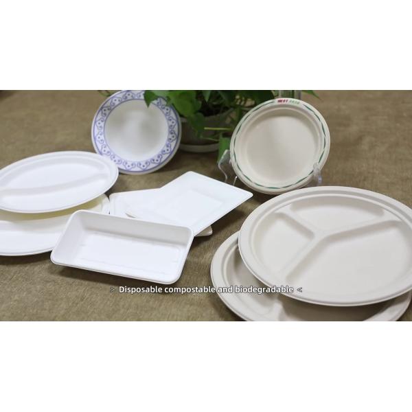 Nontoxic Take Away Boxes For Food , Healthy Biodegradable Take Out Containers