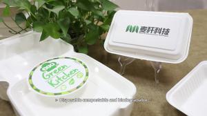  100% Biodegradable Disposable Sugarcane 1-2-3 Compartment Paper Lunch Boxes Food Container Sugarcane Bagasse tableware Manufactures