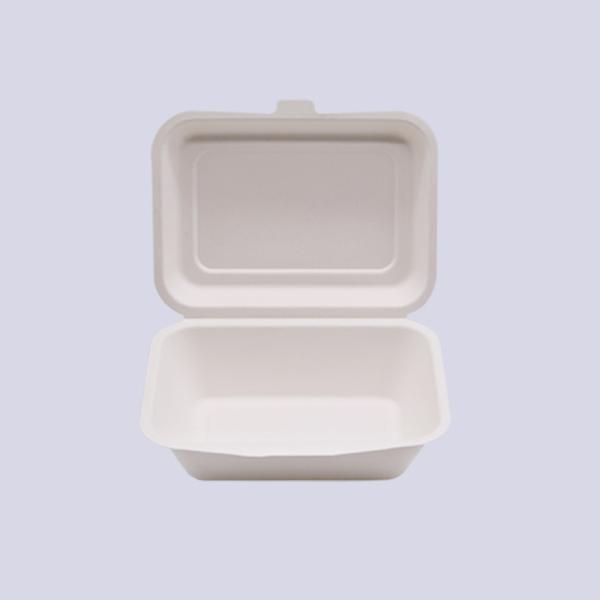 600ml sugar cane bagasse compostable takeout lunch box