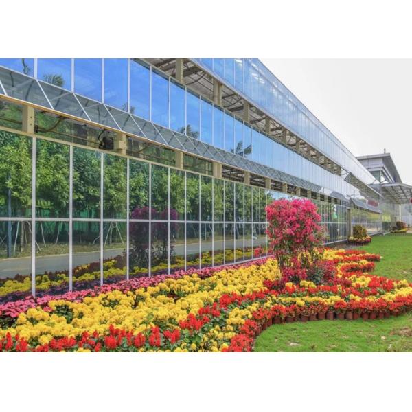 Modern Design Agriculture Plant Greenhouse Strong Wind Pressure Resistance