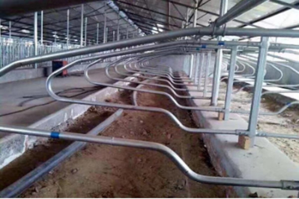 Customized Q235 Steel Agriculture Farm Cow Free Stall