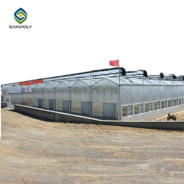 10.8m PC Sheet Greenhouse