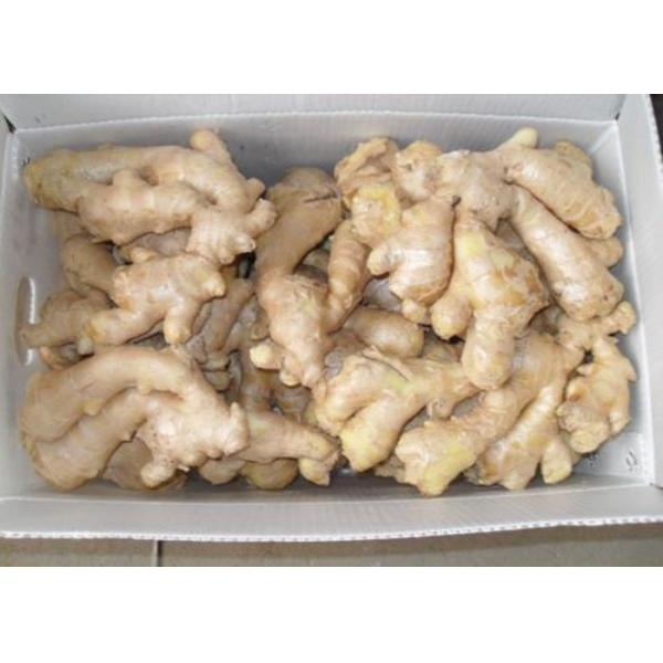 250g Chinese no sprout Air Dried Ginger