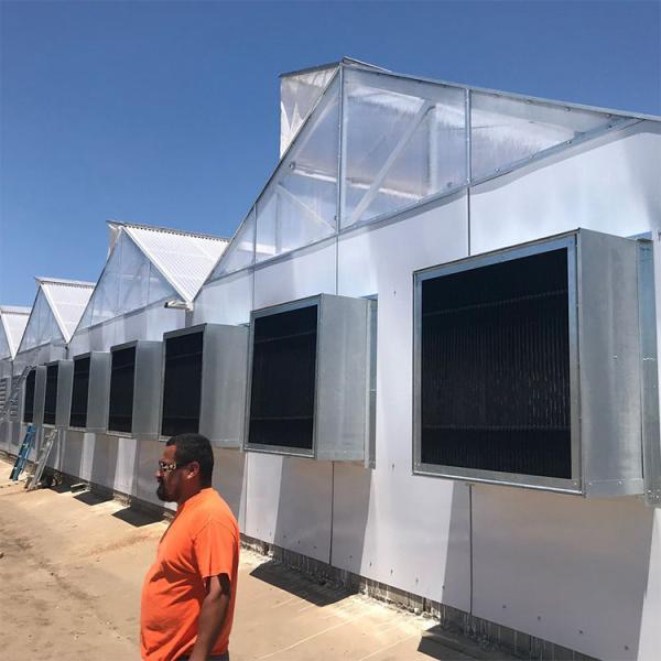 Fully Auto Black Out Drip Irrigation Polycarbonate Greenhouse Blackout System