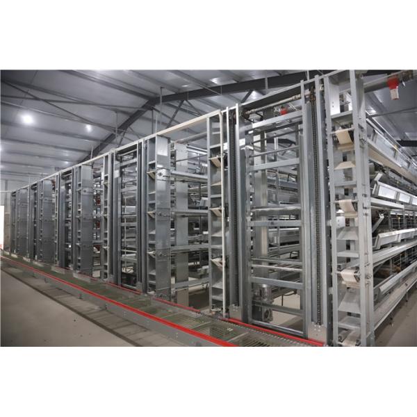 Galvanized Steel Poultry Egg Collection System Electrostatic Spray
