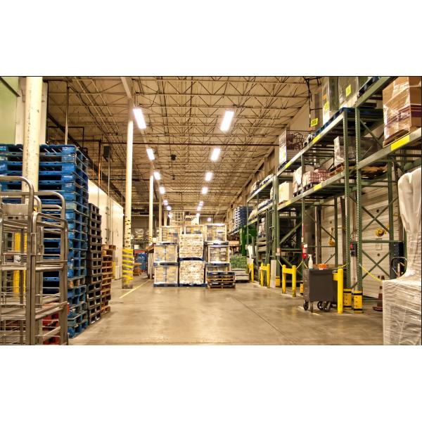 DDP Sea Freight Forwarder To USA Collection Transportation And Distribution Services