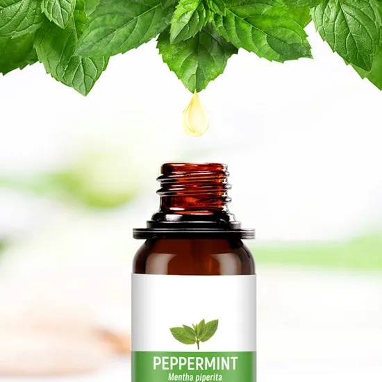 2000kgs Production Capacity Natural Extraction Essential Oil in 500ml Aluminum Bottle for Customization