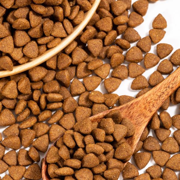 Corn Enriched Dog Food for All Breeds