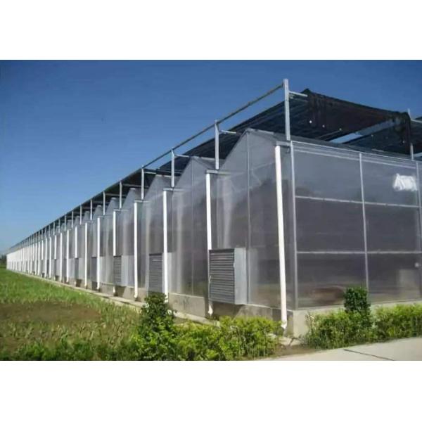 UV Protection PC Sheet Greenhouse , Polycarbonate Hydroponic Greenhouse For Medicine