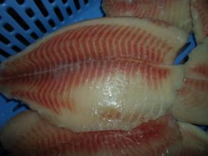  Thailand Origin Fresh Frozen Seafood / Bulk Frozen Fish Tilapia Fillet Manufactures
