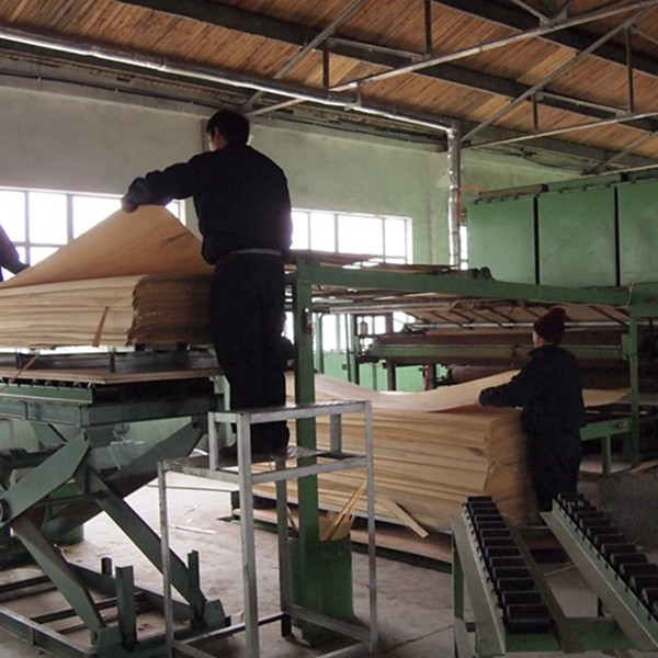 Guangdong Great Forest New Decoration Materials Co.,LTD.