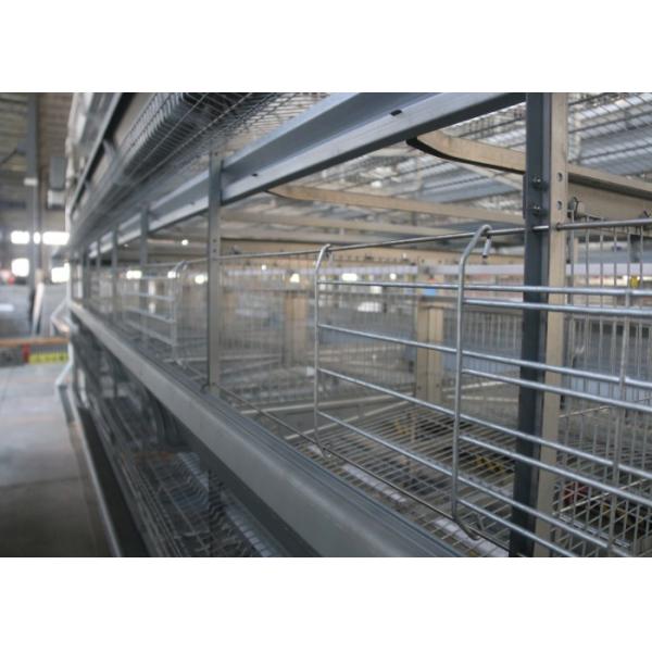 High Efficiency Poultry Layer Cage Poultry Control Shed Farm Equipment