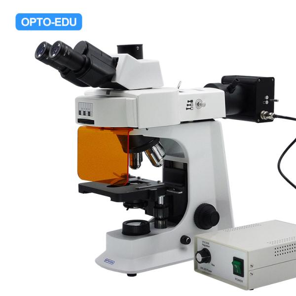 OPTO-EDU A16.2601 40x - 1000x LED Trinocular Fluorescence Microscope For