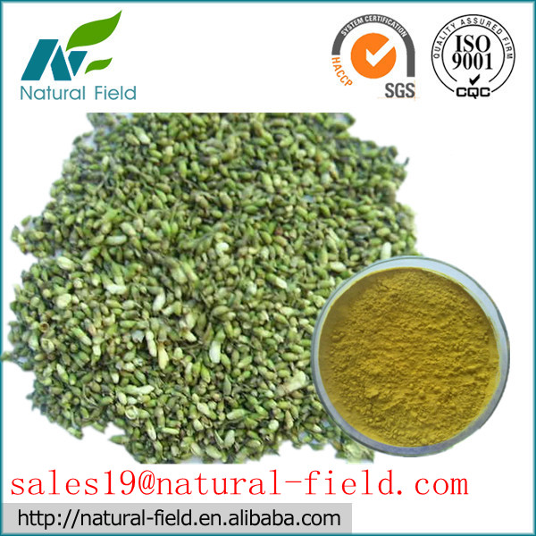 luteolin 90% HPLC by external method