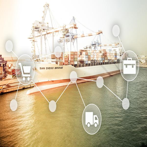 FCL LCL International Sea Freight Shipping From China To Chile