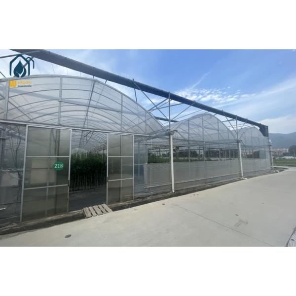 Multi Span Greenhouse Indoor Vegetable Greenhouse For Herb Cultivation