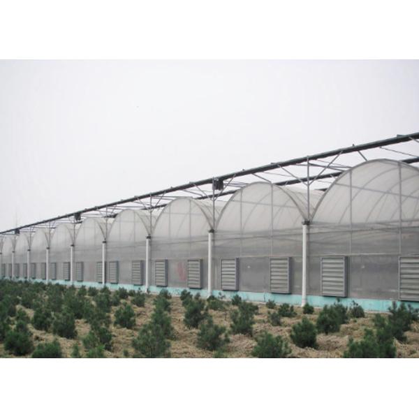 Multipurpose Plastic Cover Greenhouse For Vegetable Tomato Strawberry Pepper Eggplant