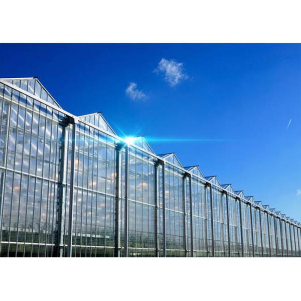 Hollow Glass Style Agricultural Greenhouse With Hot Galvanized Steel Frame