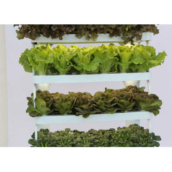 Health Home Garden Smart Hydroponics System , NFT Hydroponic System With Lighting System