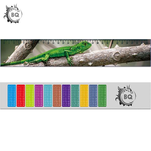 High Definition Motion 3D Lenticular Ruler Animal Design For Students