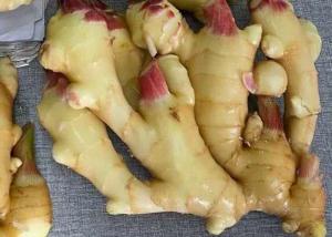  300g Air Dried Ginger yellow Manufactures