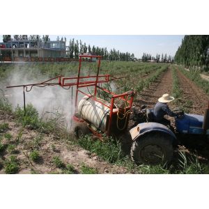 Ningxia Amorberry Foodstuff Co., Ltd.