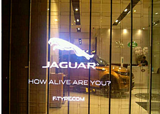 Window Transparent LED Display Fanless Design / Convenient Maintenance